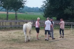 teamcoaching-paardencoach-teambuilding-maastricht |www.discover-coaching.nl